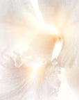 Guerlain Orchidee Imperiale Brightening: The Radiance Eye Serum - 15ml