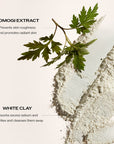 Shiseido: Clarifying Cleansing Foam (for all skin types) - 125ml