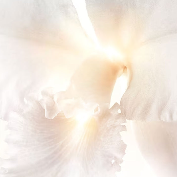 Guerlain Orchidee Imperiale Brightening: The Radiance Eye Serum - 15ml