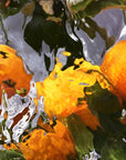 Guerlain Aqua Allegoria: Orange Soleia - Eau De Toilette - 75ml / 200ml (Refill)