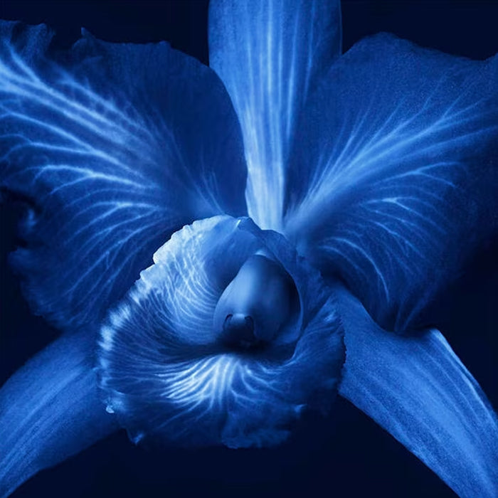 Guerlain Orchidee Imperiale Brightening: The Radiance Eye Serum - 15ml