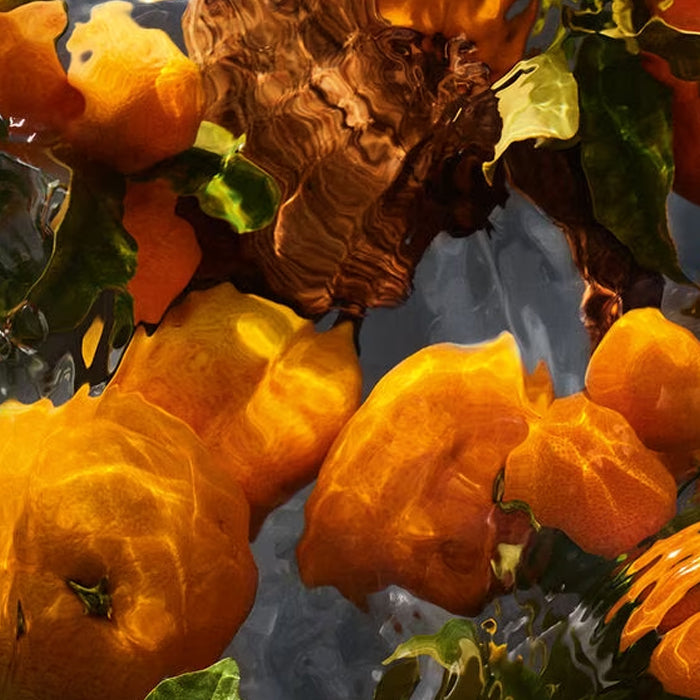Guerlain Aqua Allegoria: Mandarine Basilic Frote - Eau De Parfum - 75ml / 200ml (Refill)