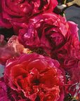 Guerlain Aqua Allegoria: Rosa Rossa Frote - Eau De Parfum - 75ml / 200ml (Refill)