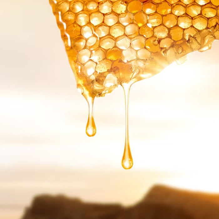 Guerlain Abeille Royale: Honey Cataplasm Mask - 4x