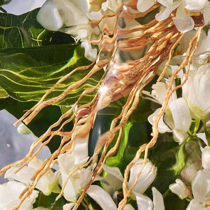 Guerlain Aqua Allegoria: Nerolia Vetiver - Eau De Toilette - 75ml / 200ml (Refill)