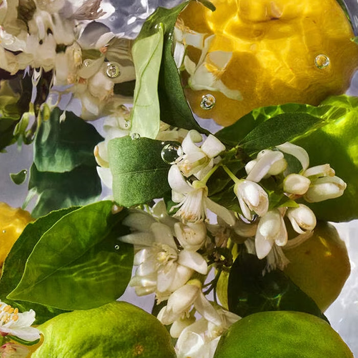 Guerlain Aqua Allegoria: Bergamote Calabria - Eau De Toilette - 75ml / 200ml (Refill)