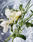 Guerlain Aqua Allegoria: Herba Fresca - Eau De Toilette - 75ml / 200ml (Refill)