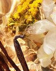 Guerlain Aqua Allegoria: Bosca Vanilla Forte - Eau De Parfum - 75ml / 200ml (Refill)