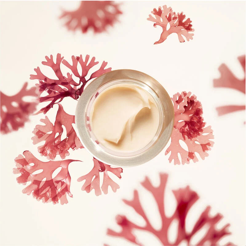 Shiseido Benefiance: Wrinkle Smoothing Enriched - 50ml